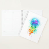 Rainbow-Qualle Planer (Anzeige)