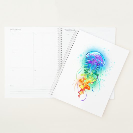 Rainbow-Qualle Planer (Anzeige)