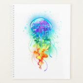 Rainbow-Qualle Planer (Vorderseite)