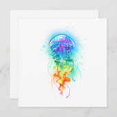 Rainbow-Qualle Programm (Vorne/Hinten)