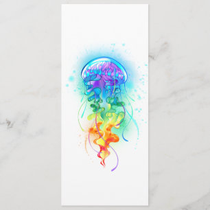 Rainbow-Qualle Programm