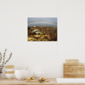 Rainbow Rannoch Moor Postkarte Poster (Küche)