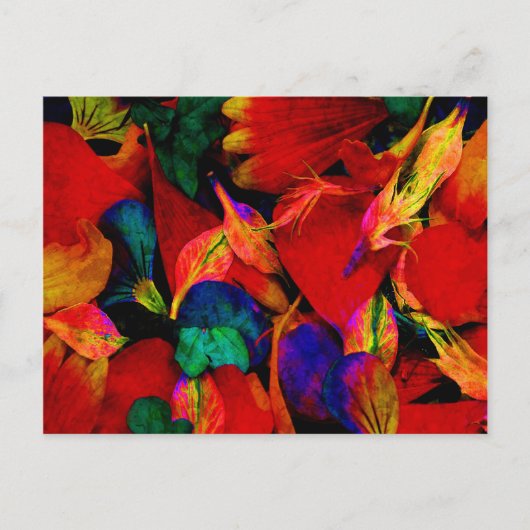 Rainbow Redux Postkarte (Vorderseite)