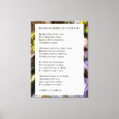 Rainbow River on Rocks Gedicht by Pamela Storch Leinwanddruck (Vorderseite)