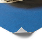 Rainbow Roll Sushi Poster (Ecke)