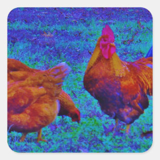 Rainbow Rooster & Hens, Electric Blue Quadratischer Aufkleber