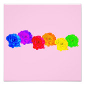 Rainbow-Rose Fotodruck (Vorne)