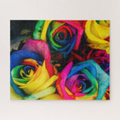 Rainbow Rose Herausforderung Puzzle 16" x 20" (Horizontal)