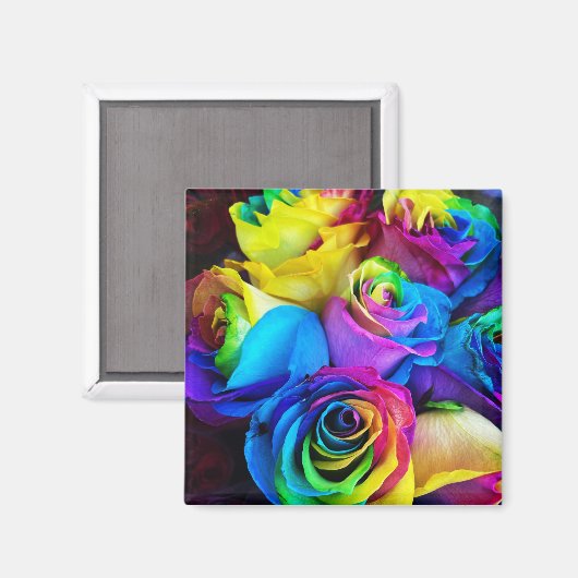 Rainbow Rose Magnet (Vorderseite/Rückseite)