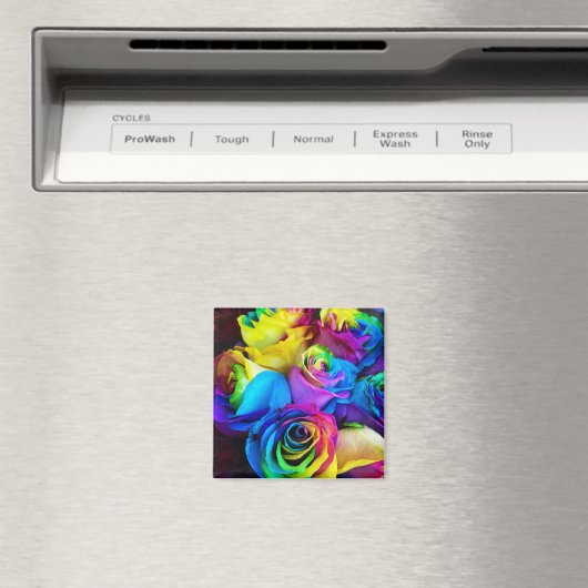 Rainbow Rose Magnet (In Situ (Geschirrspüler))