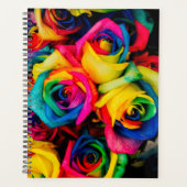 Rainbow-Rose Planer (Vorderseite)