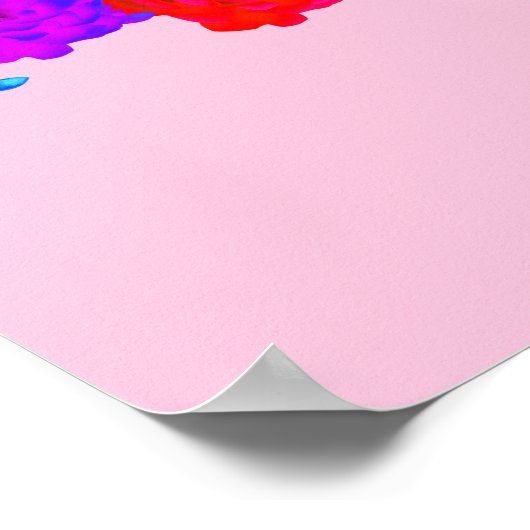 Rainbow-Rose Poster (Ecke)