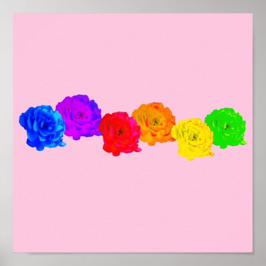 Rainbow-Rose Poster (Vorne)