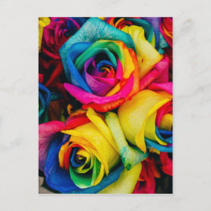 Rainbow-Rose Postkarte