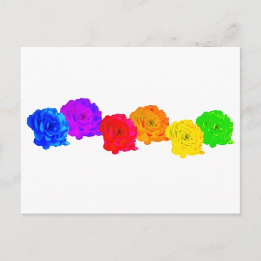 Rainbow-Rose Postkarte (Vorderseite)