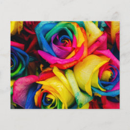 Rainbow-Rose Rose blüht romantische Friedensfreude