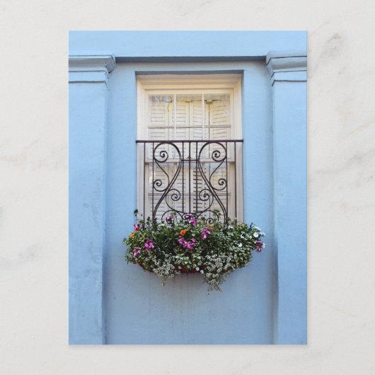 Rainbow Row Blume Box, Charleston, S.C. Postkarte (Vorderseite)