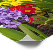 Rainbow-Sammlung Poster (Ecke)