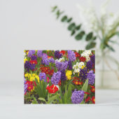 Rainbow-Sammlung Postkarte (Stehend Vorderseite)
