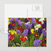 Rainbow-Sammlung Postkarte (Vorne/Hinten)