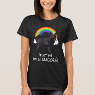 Rainbow Schipperke Vertrau Mir Ich Bin Ein Einhorn T-Shirt