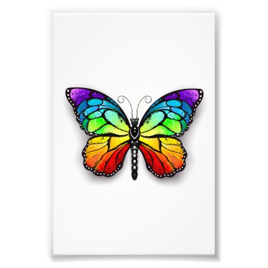 Rainbow-Schmetterling Monarch Fotodruck (Vorne)