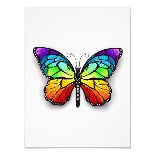 Rainbow-Schmetterling Monarch Fotodruck (Vorne)