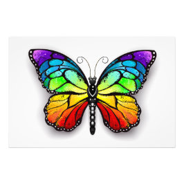 Rainbow-Schmetterling Monarch Fotodruck