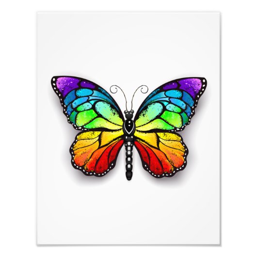Rainbow-Schmetterling Monarch Fotodruck (Vorne)