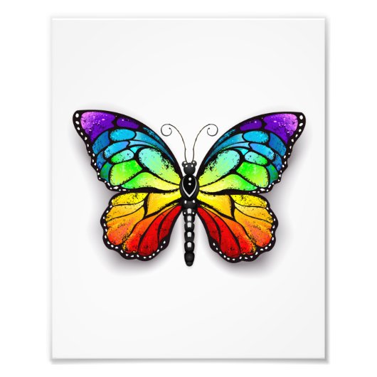 Rainbow-Schmetterling Monarch Fotodruck (Vorne)