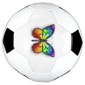 Rainbow-Schmetterling Monarch Fußball (Gedreht)