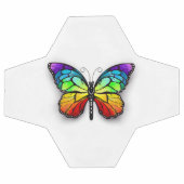 Rainbow-Schmetterling Monarch Fußball (Flach)