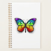 Rainbow-Schmetterling Monarch Planer (Vorderseite)