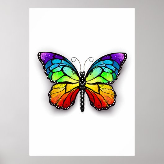 Rainbow-Schmetterling Monarch Poster (Vorne)
