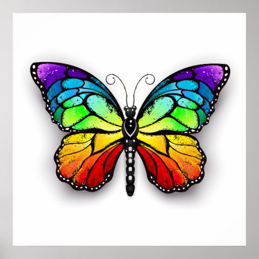 Rainbow-Schmetterling Monarch Poster (Vorne)