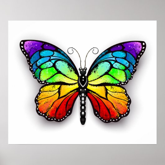 Rainbow-Schmetterling Monarch Poster (Vorne)
