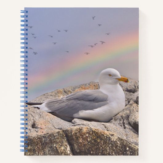 Rainbow Seagull Notizblock (Vorderseite)