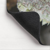Rainbow Shelf Fungus Mousepad (Ecke)