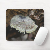 Rainbow Shelf Fungus Mousepad (Mit Mouse)