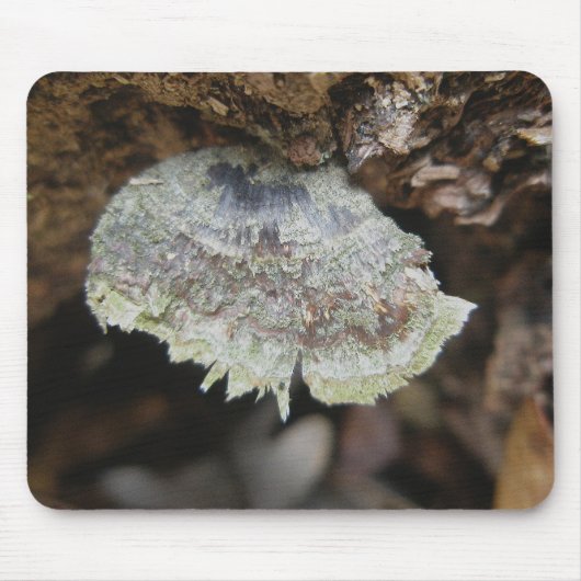 Rainbow Shelf Fungus Mousepad (Vorne)