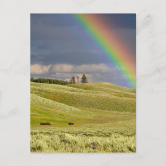 Rainbow Skies Office personalize Destiny's Postkarte