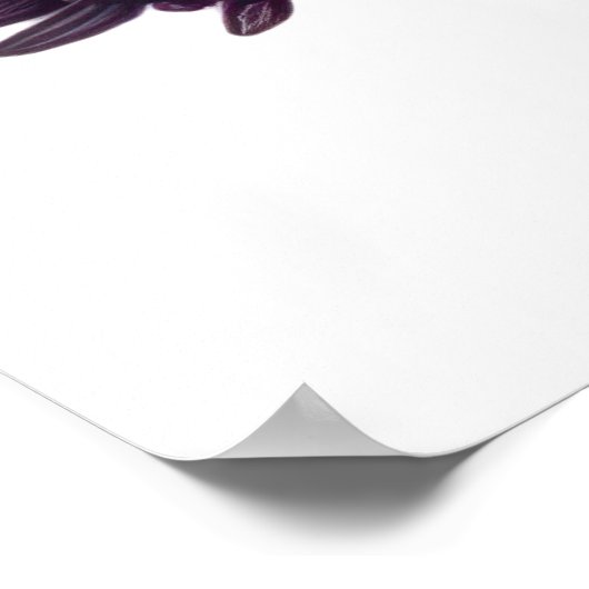 Rainbow Skull Garden Poster (Ecke)