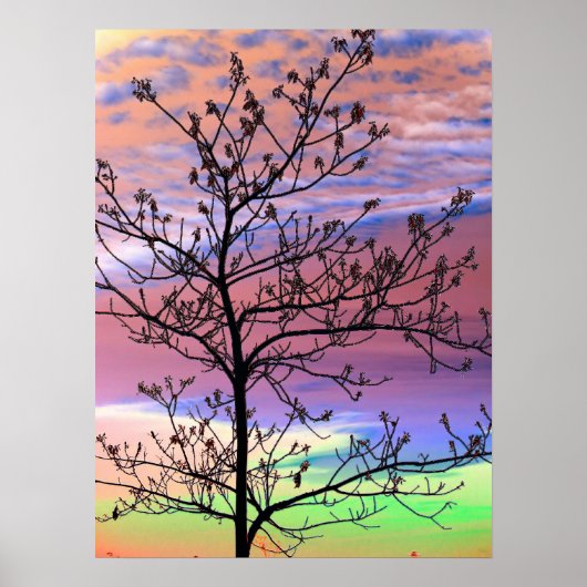 Rainbow Sky Barren Tree Poster (Vorne)