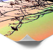 Rainbow Sky Barren Tree Poster (Ecke)