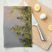 Rainbow Sky Kitchtuch Handtuch (Viertel Falte)