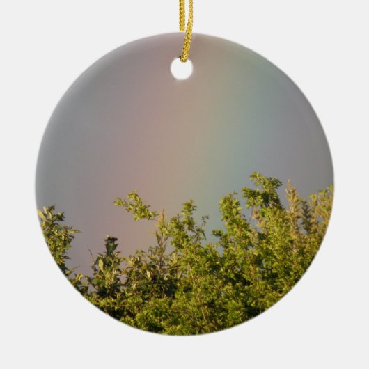 Rainbow Sky Ornament (Vorne)