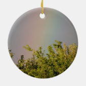 Rainbow Sky Ornament (Hinten)