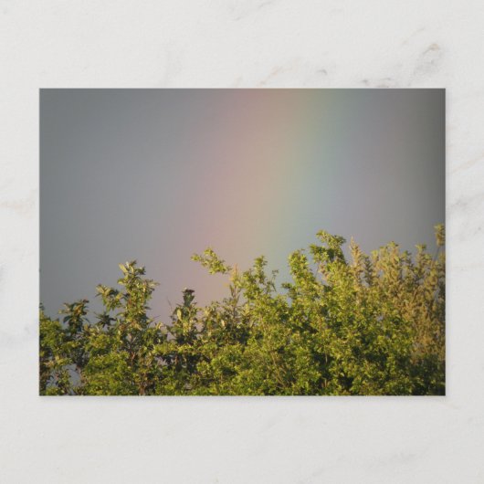 Rainbow Sky Postcard Postkarte (Vorderseite)