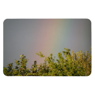 Rainbow Sky Premium Magnet