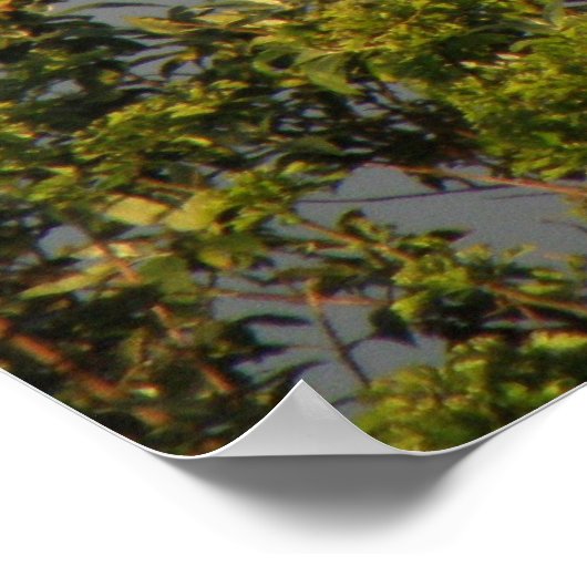 Rainbow Sky Print Poster (Ecke)